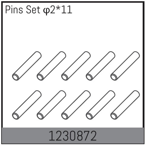 Absima 2*11 Pin Set (10)
